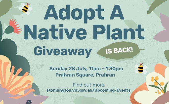 Promotional flyer for City of Stonnington's Native Plant Giveaway 2024 at Prahran Square